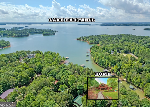 142 Hugh Dorsey Rd, Hartwell, GA 30643 - aerial view of a large body of water and a heavily wooded area