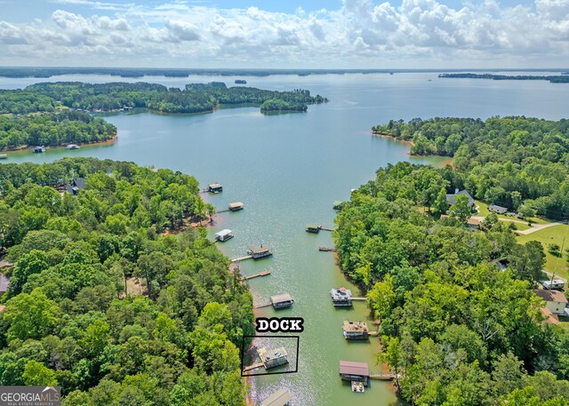 142 Hugh Dorsey Rd, Hartwell, GA 30643 - aerial view of a large body of water