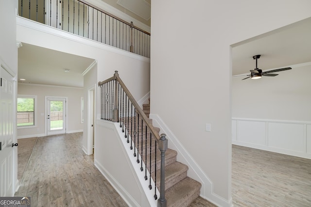 stairway featuring wood finished floors, crown molding, and ceiling fan