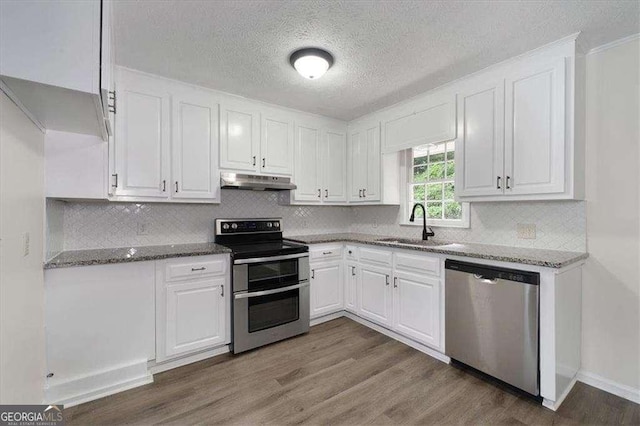 kitchen featuring stainless steel appliances, under cabinet range hood, a sink, white cabinetry, and stone counters