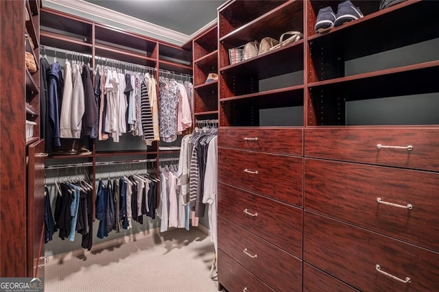 spacious closet with carpet flooring
