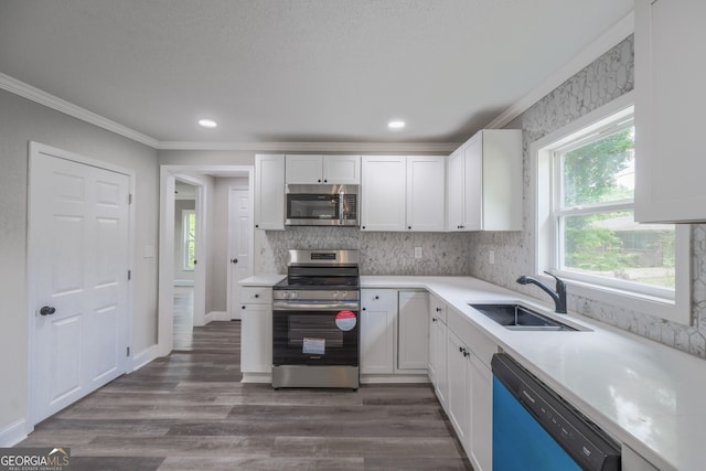11 Cloverhurst Dr, Toccoa, GA 30577 - kitchen featuring stainless steel appliances, a sink, healthy amount of natural light, white cabinetry, and ornamental molding