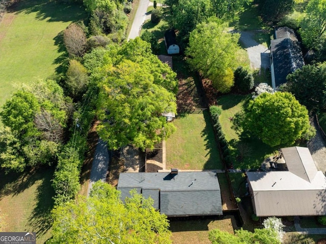 bird's eye view