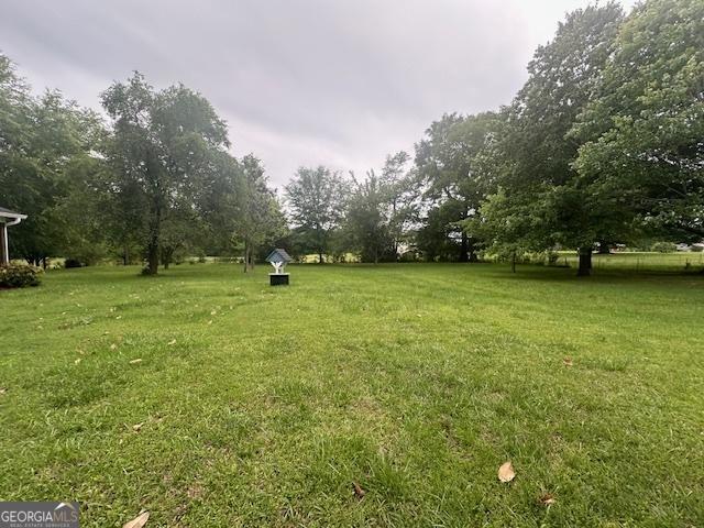 view of grassy yard featuring view of scattered trees