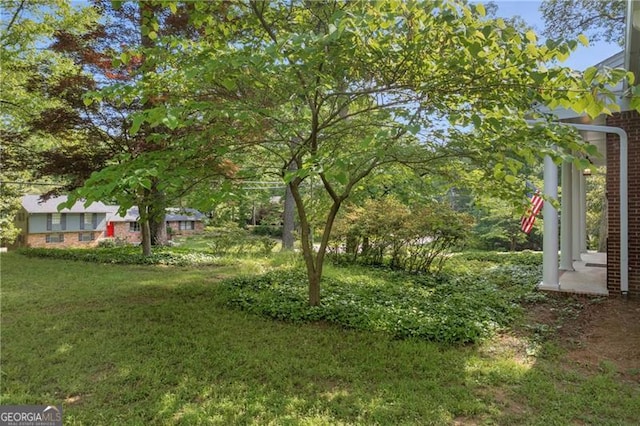 view of grassy yard