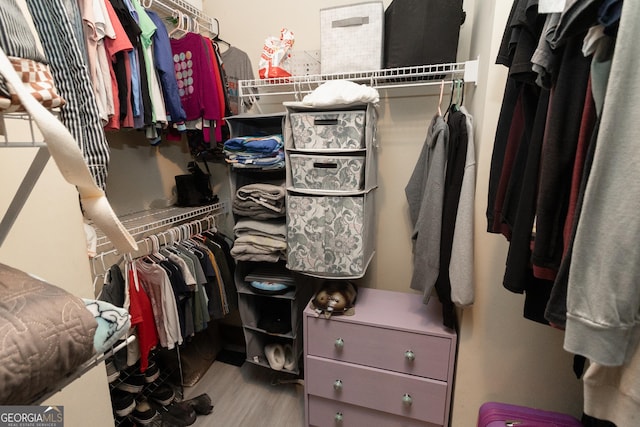 spacious closet featuring wood finished floors