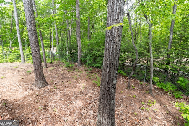 view of tree filled area