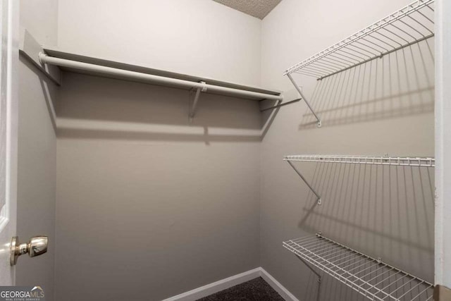 view of walk in closet