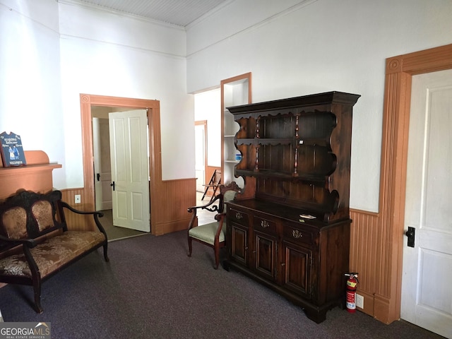 61 Calhoun St, Gibson, GA 30810 - sitting room featuring carpet, wainscoting, and wood walls