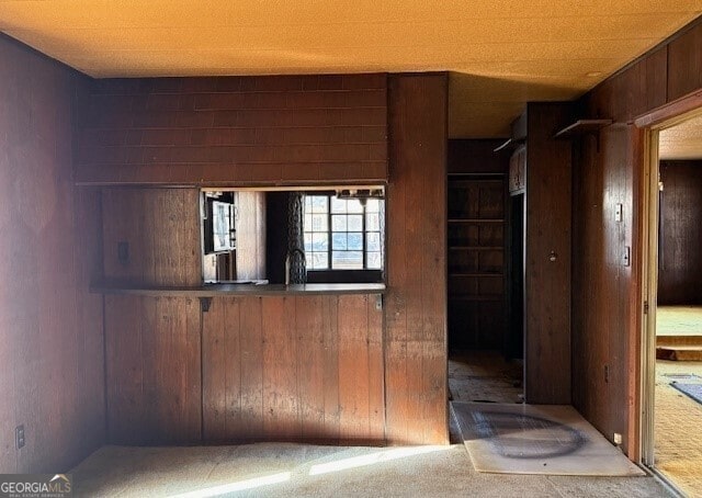 kitchen featuring carpet flooring and wooden walls