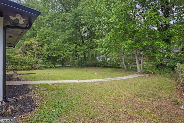 view of grassy yard