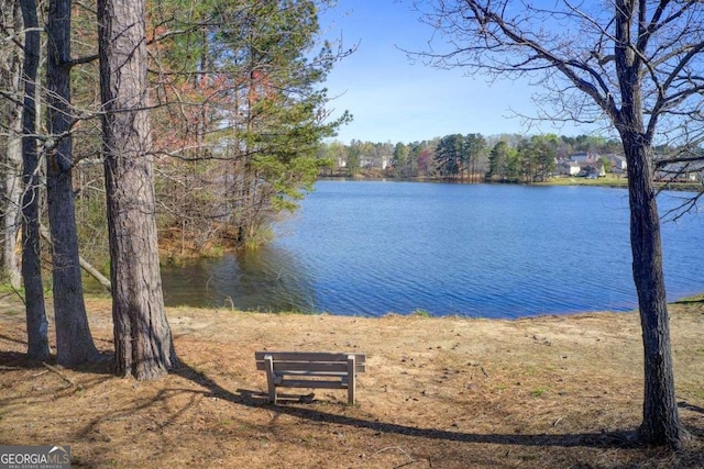 7933 Heathmore Dr, Fairburn, GA 30213 - water view