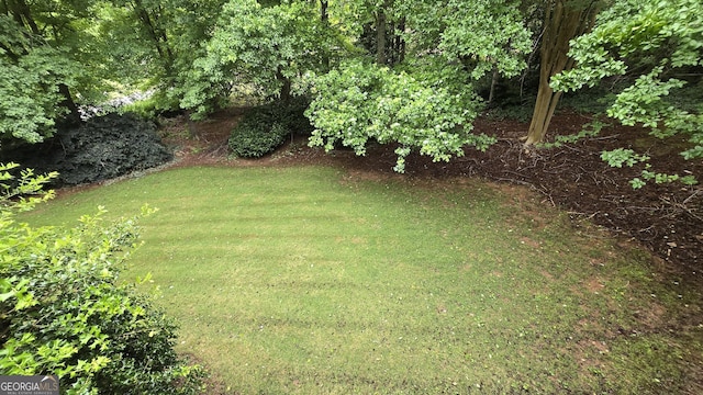 view of green lawn