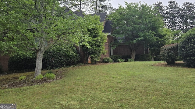 view of grassy yard