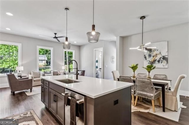 kitchen featuring a sink, stainless steel dishwasher, dark wood-type flooring, open floor plan, and light countertops