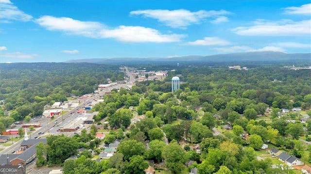 104 Dellwood Dr NW, Rome, GA 30165 - bird's eye view of a heavily wooded area