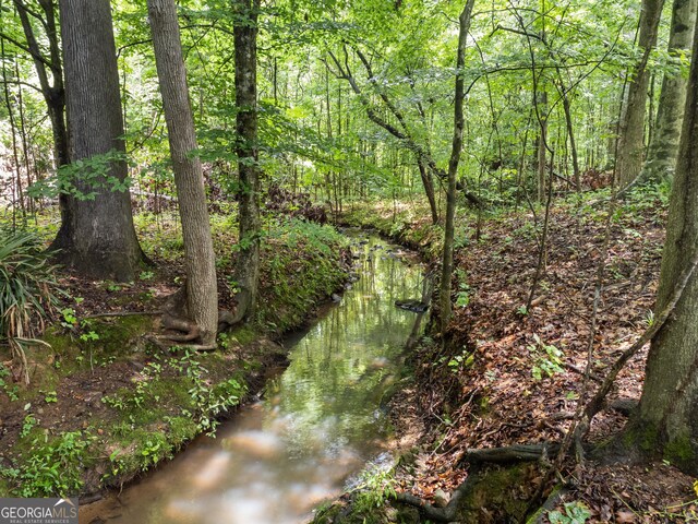 118 Greentree Pkwy, Macon, GA 31220 - view of woods