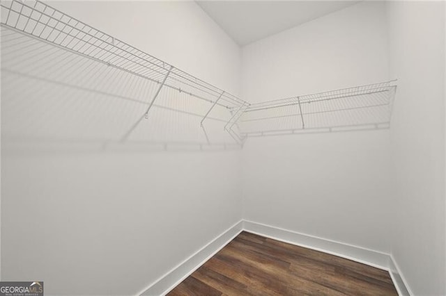 spacious closet with dark wood finished floors
