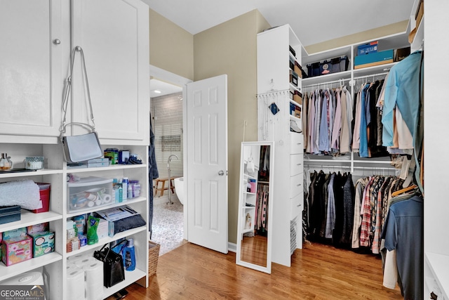 walk in closet featuring light wood finished floors