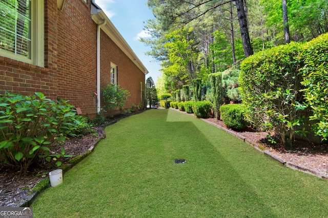 view of green lawn