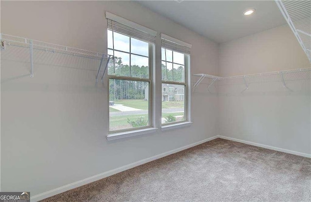 160 Cooper Cv W Lot 64, Fayetteville, GA 30215 - walk in closet featuring carpet floors