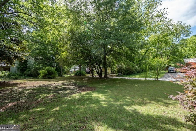 180 Cross St, Maysville, GA 30558 - view of grassy yard