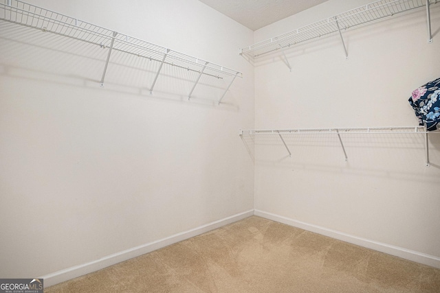 807 Ideal Pl, Winder, GA 30680 - spacious closet with light carpet