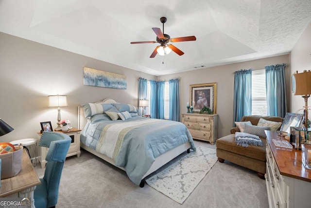 102 Autumn Brooke Trl, Dallas, GA 30157 - bedroom with light colored carpet, a raised ceiling, and multiple windows
