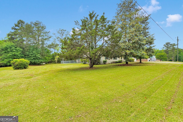 95 Stephens Dr, Covington, GA 30016 - view of yard