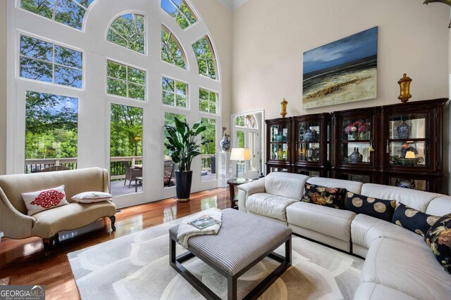 3182 Deepwater Dr, Gainesville, GA 30506 - living room featuring healthy amount of natural light, a high ceiling, and wood finished floors