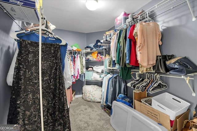 spacious closet featuring carpet