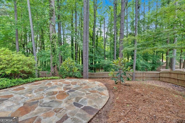 fenced backyard featuring a patio