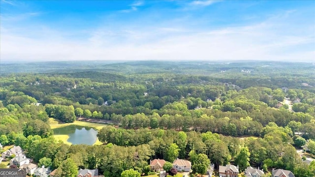 aerial view of residential area with a nearby body of water and a forest