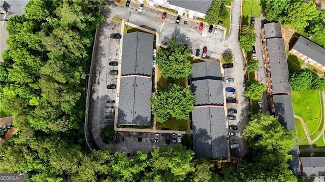 bird's eye view