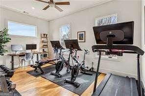 522 Boulevard Pl NE, Atlanta, GA 30308 - exercise room with wood finished floors and a ceiling fan