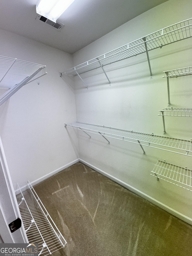 walk in closet with carpet floors
