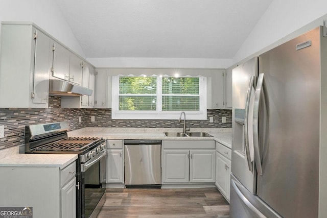 kitchen featuring appliances with stainless steel finishes, lofted ceiling, a sink, under cabinet range hood, and wood finished floors