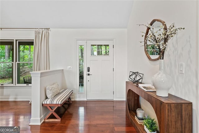 196 Mcelroy Mountain Dr, Jasper, GA 30143 - foyer entrance with wood finished floors, plenty of natural light, and baseboards
