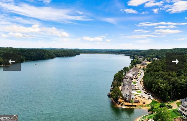 water view with a heavily wooded area