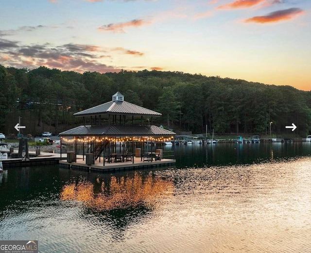 dock with a forest view and a water view