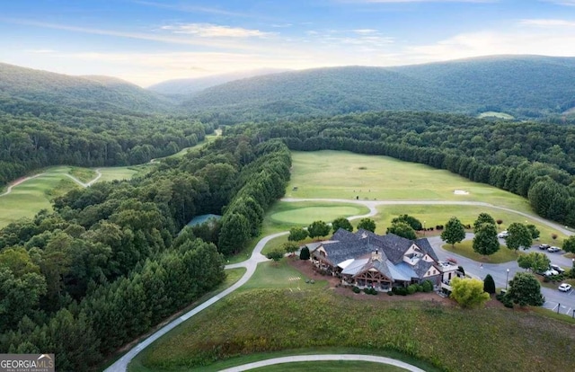 bird's eye view of a forest