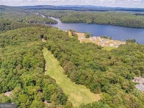 bird's eye view of a nearby body of water and a forest