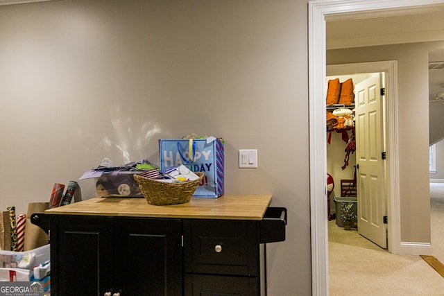 detailed view of carpet floors, ornamental molding, and baseboards