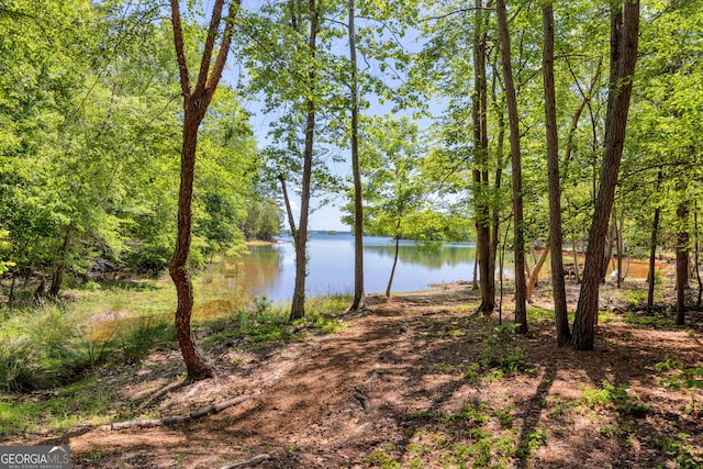 water view featuring a heavily wooded area