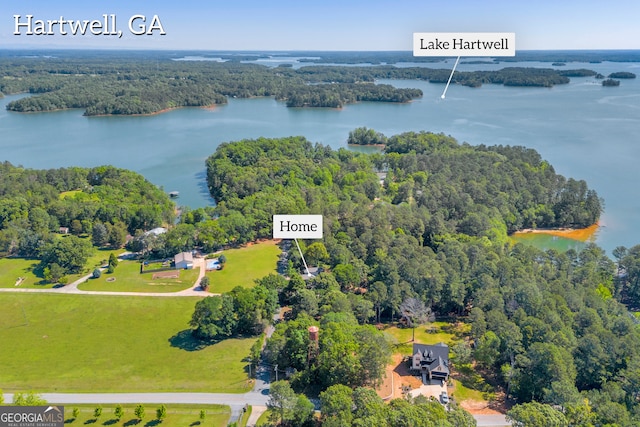 bird's eye view of a forest and a nearby body of water