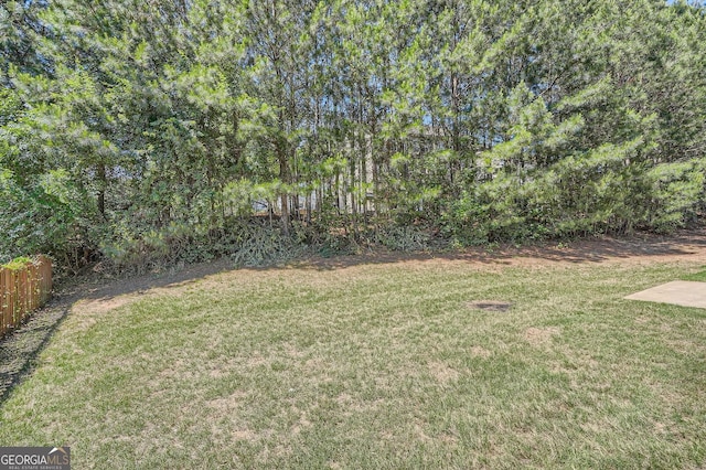 349 Pennant Ln, Fairburn, GA 30213 - view of yard