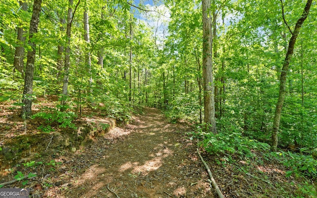 view of wooded area