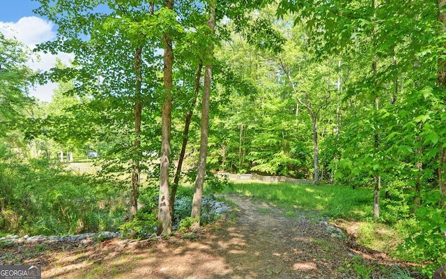 view of street featuring a forest view