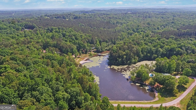 aerial view of a forest and a nearby body of water