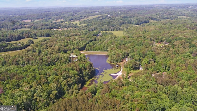 aerial overview of property's location with a forest and a large body of water